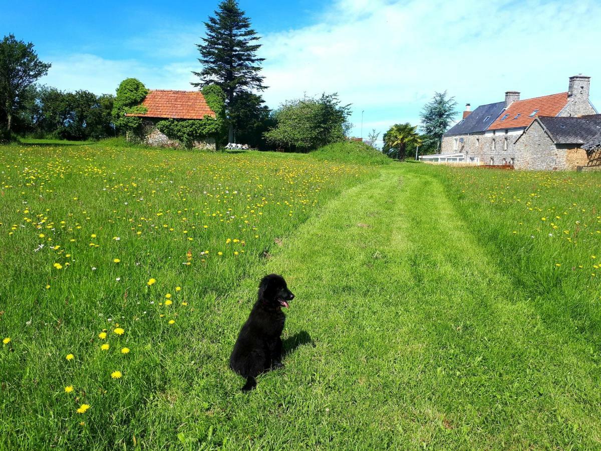 L' Anpeg, Gite Dans Le Cotentin Jusqu'A 8 Personnes Besneville Luaran gambar